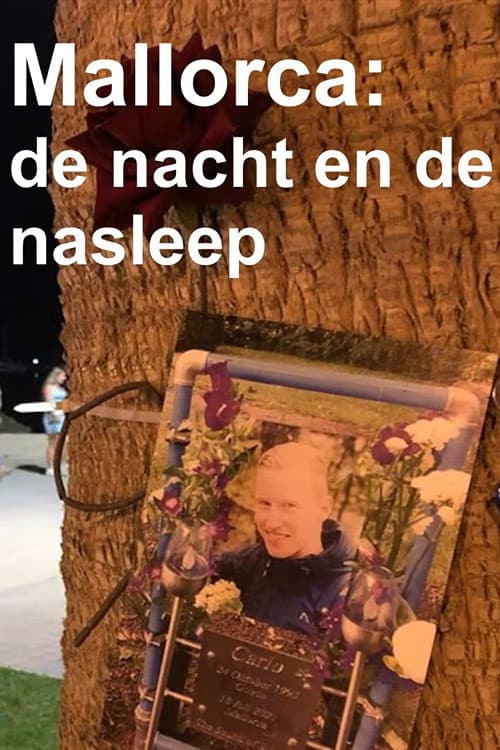 Mallorca: de nacht en de nasleep Season 1 poster