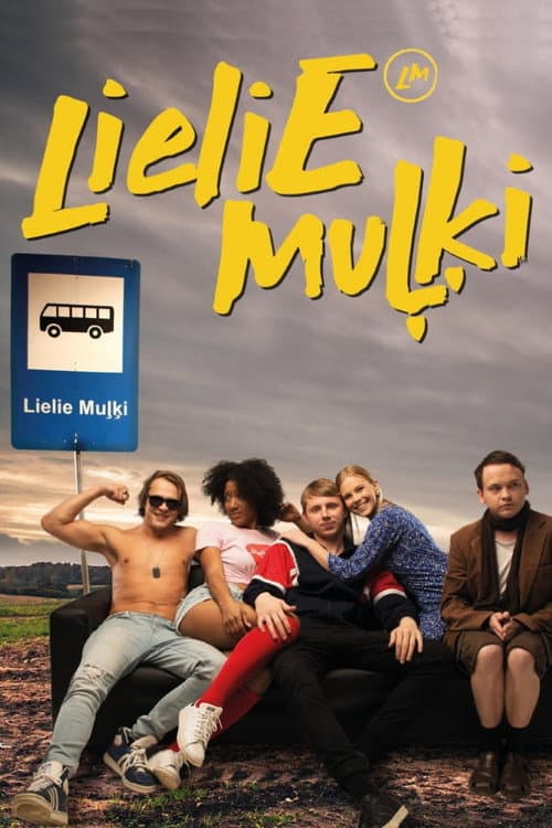 Big Fools Season 1 poster
