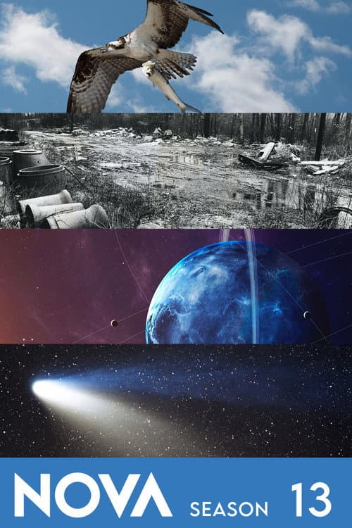 NOVA Season 13 poster