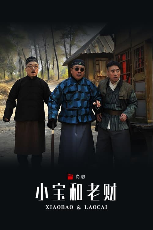 小宝和老财 Season 1 poster
