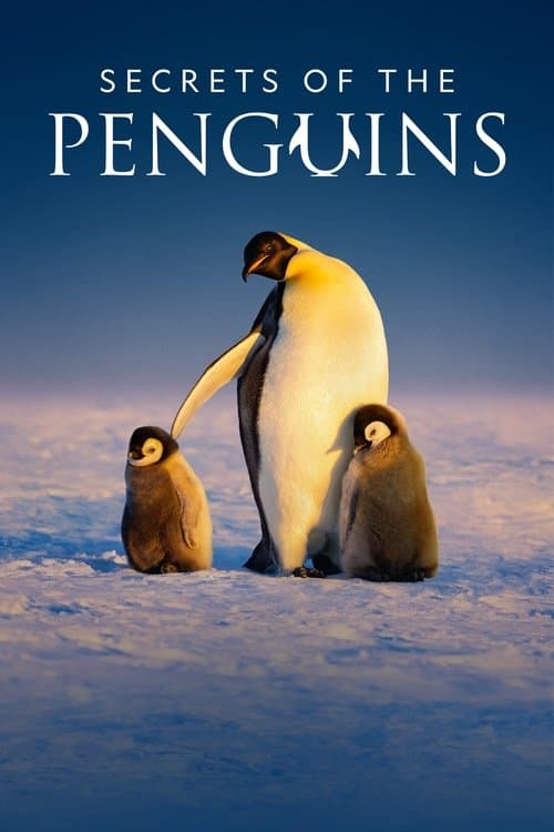 Secrets of the Penguins Miniseries poster