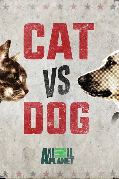 Cat vs. Dog Season 1 poster