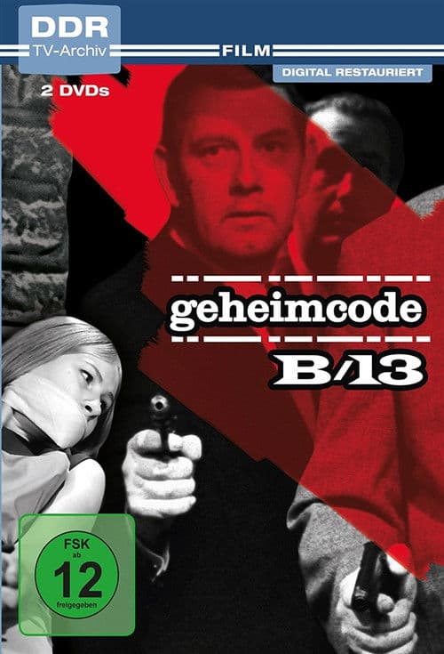 Geheimcode B/13 Season 1 poster