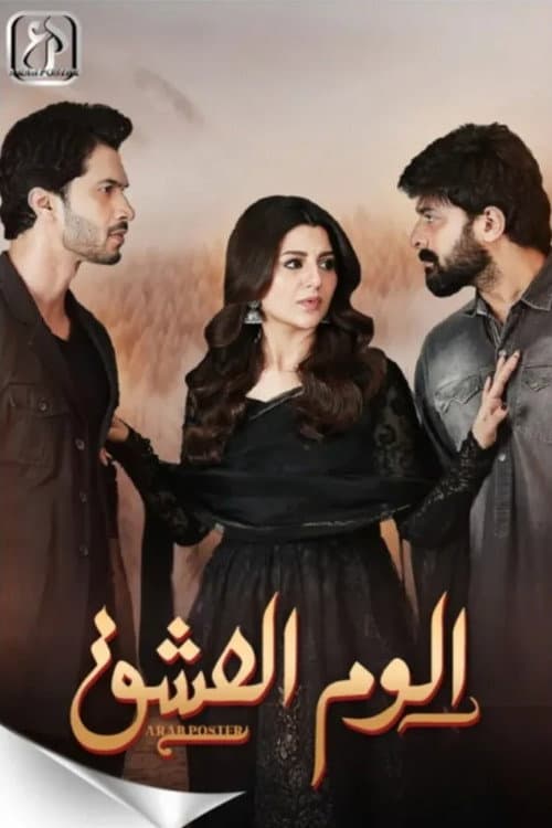 ilzam-e-ishq Season 1 poster