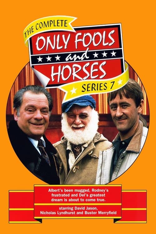 Only Fools and Horses Series 7 poster