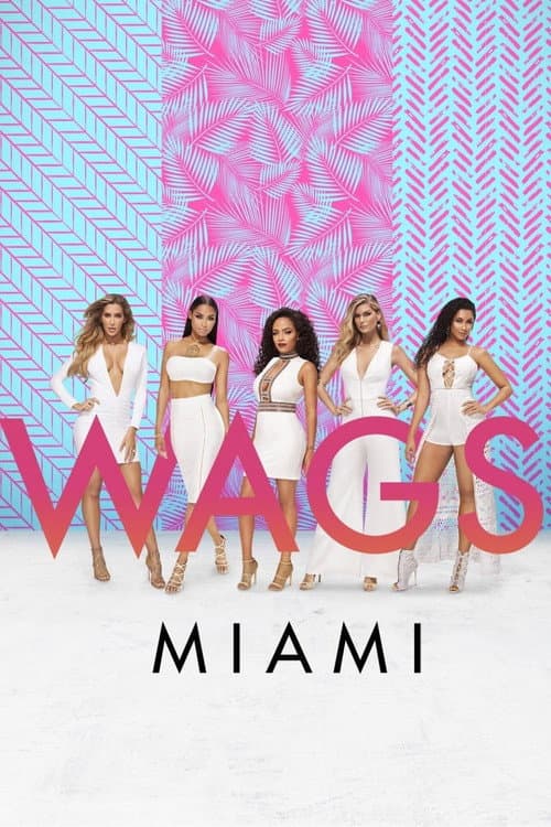 WAGS Miami Season 2 poster