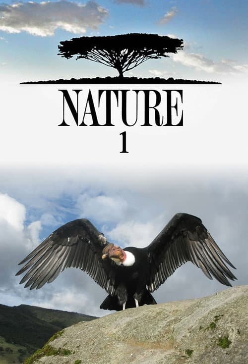 Nature Season 1 poster