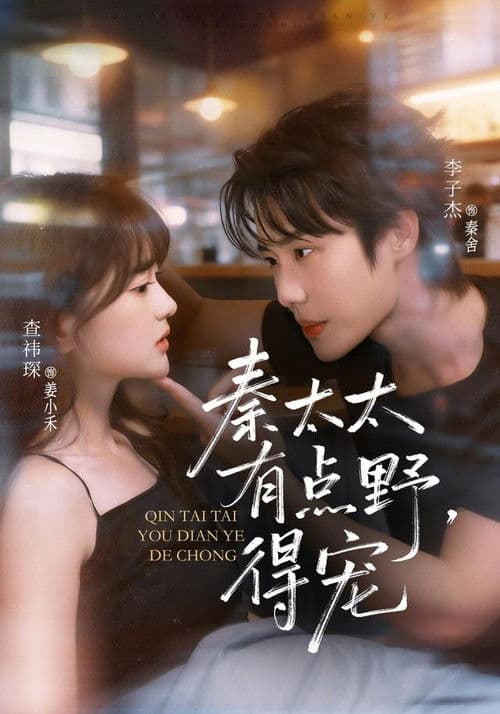 Doting Feisty Mrs. Qin Season 1 poster