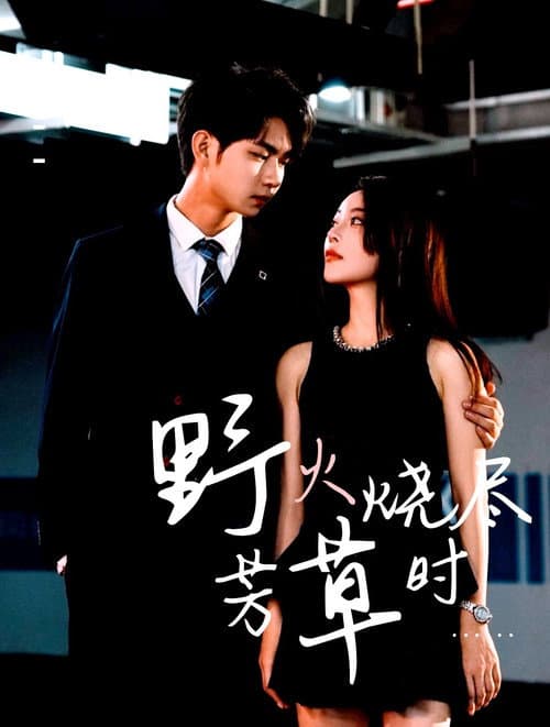 野火烧尽芳草时 Season 1 poster