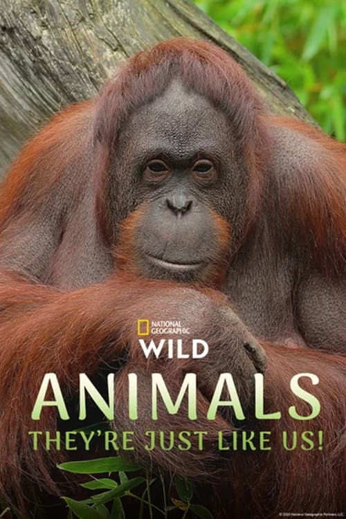 Animals, They're Just Like Us! Season 1 poster