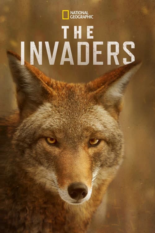 The Invaders Season 1 poster
