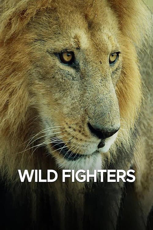 Wild Fighters Season 1 poster