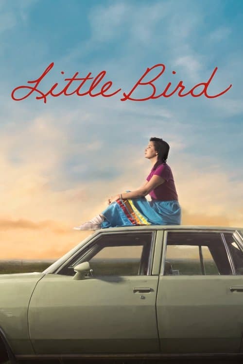 Little Bird Limited Series poster
