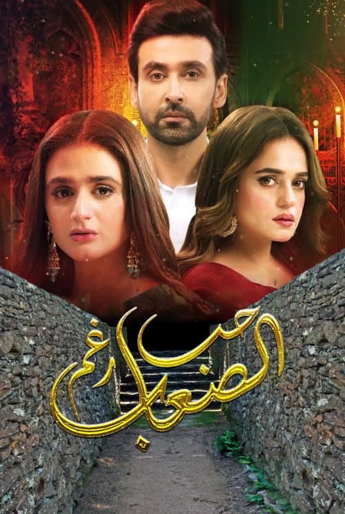 mein hari piya Season 1 poster