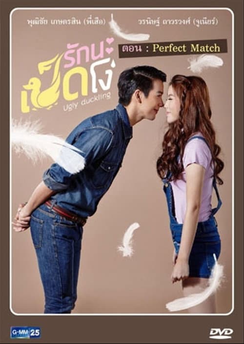 Ugly Duckling Perfect Match poster