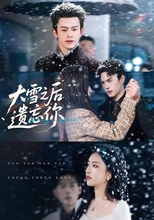 大雪之后遗忘你 Season 1 poster