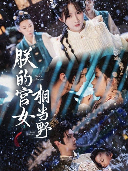 朕的宫女相当野 Season 1 poster
