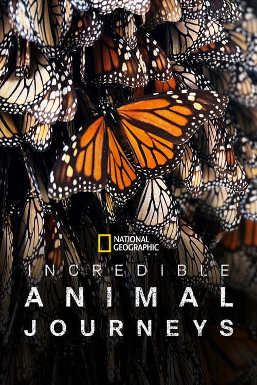 Incredible Animal Journeys Season 1 poster