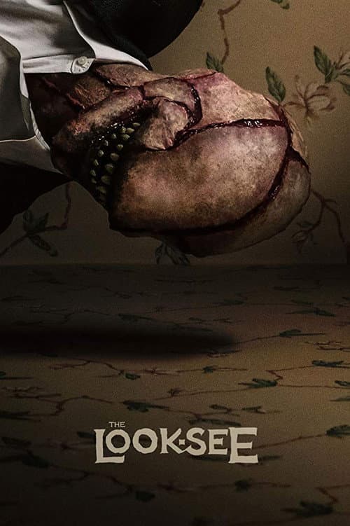 The Look-See Season 1 poster