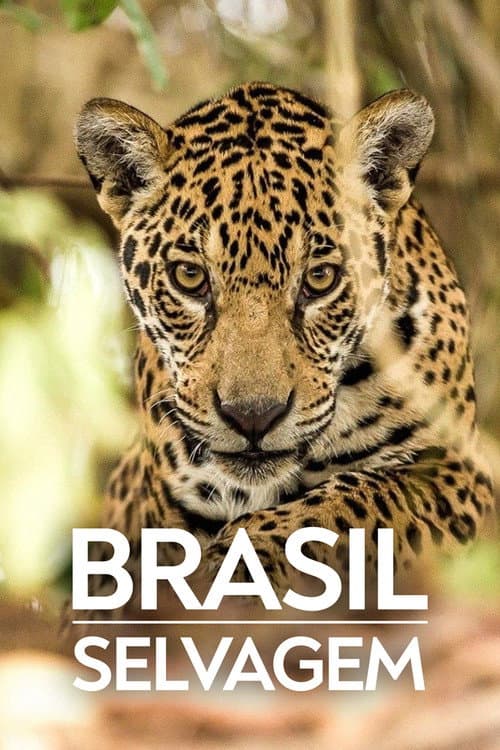 Brazil Untamed Biomes poster