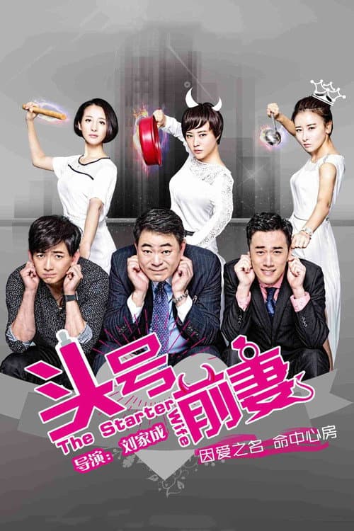 The Starter Wife Season 1 poster