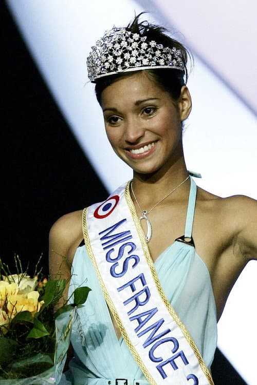 Miss France Season 18 poster