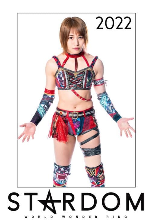 Stardom on Stardom World 2022 poster