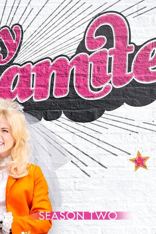Lady Dynamite Season 2 poster