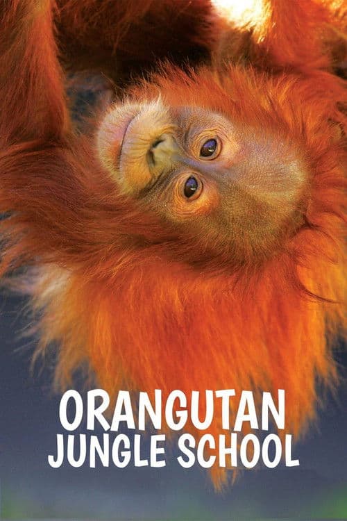 Orangutan Jungle School Season 3 poster
