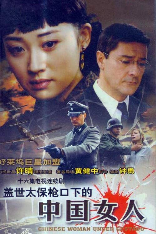 盖世太保枪口下的中国女人 Season 1 poster