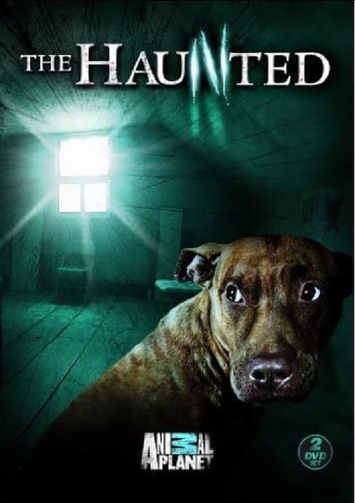 The Haunted Season 3 poster