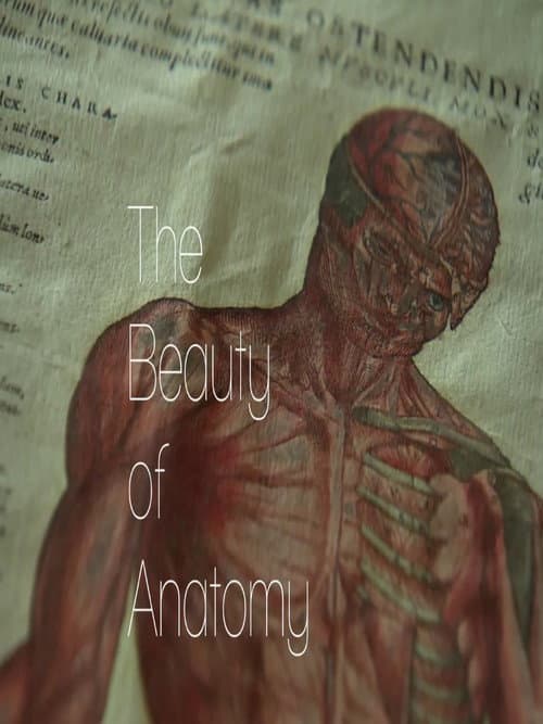The Beauty of Anatomy Season 1 poster