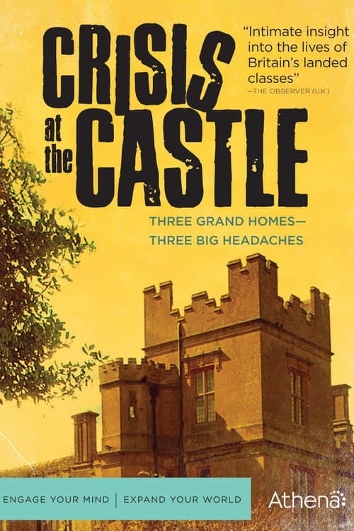 Crisis at the Castle Miniseries poster