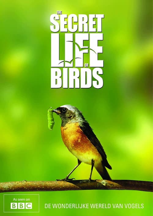 Iolo's Secret Life of Birds Season 1 poster