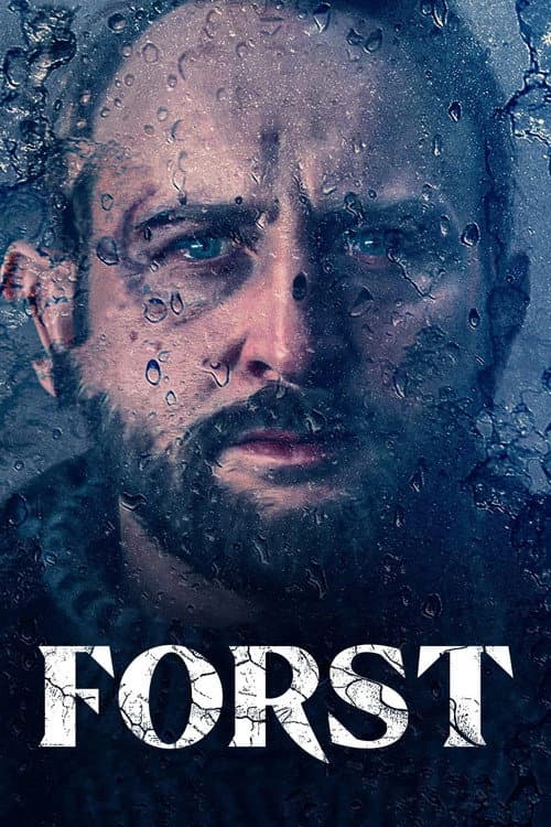 Detective Forst Season 1 poster