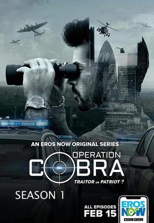 Operation Cobra Season 1 poster