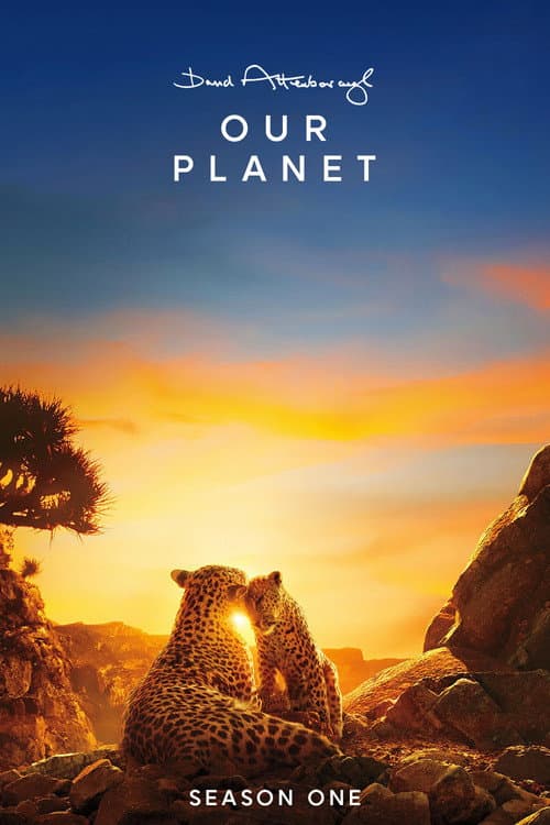 Our Planet Our Planet poster