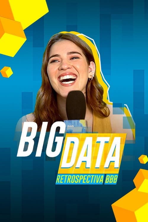 Big Data: Retrospectiva BBB Season 1 poster