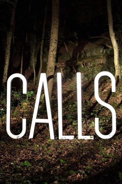 Calls Season 2 poster