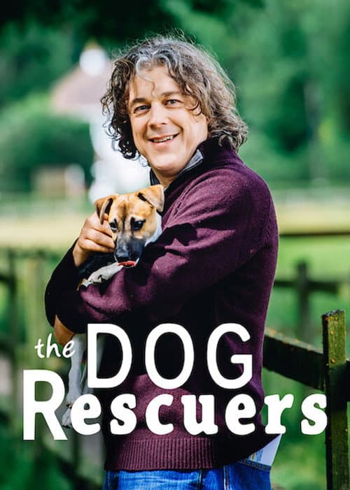 The Dog Rescuers with Alan Davies Season 11 poster