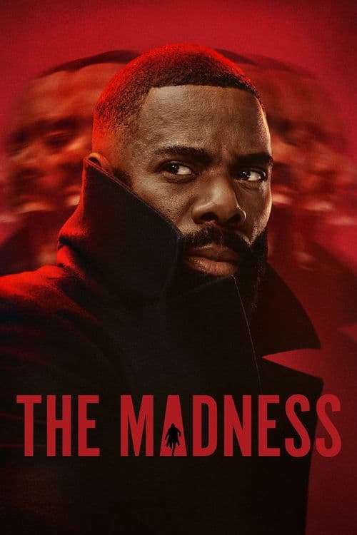 The Madness Limited Series poster