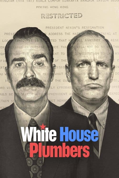 White House Plumbers Miniseries poster