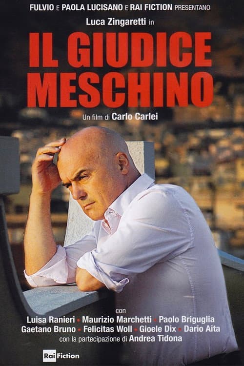 Il Giudice Meschino Season 1 poster