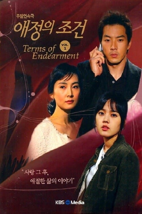 Terms of Endearment Season 1 poster