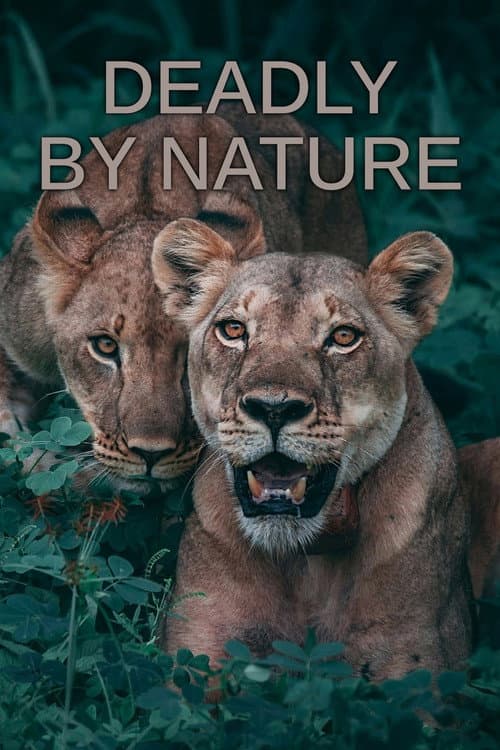 Deadly by Nature Season 1 poster
