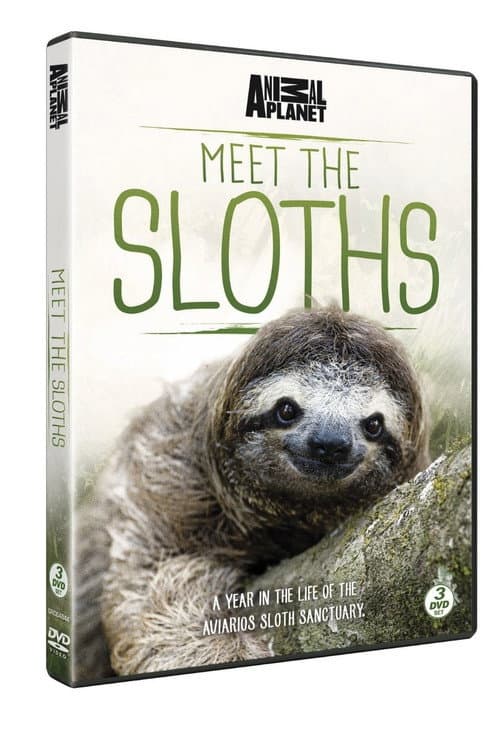 Meet the Sloths Season 1 poster