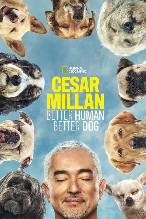Cesar Millan: Better Human, Better Dog Season 1 poster