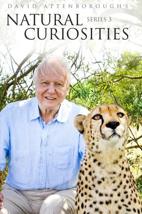David Attenborough's Natural Curiosities Season 3 poster