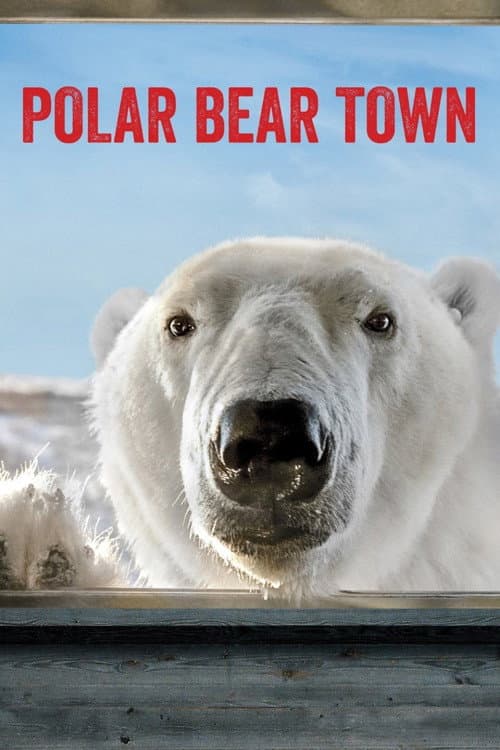 Polar Bear Town Season 2 poster
