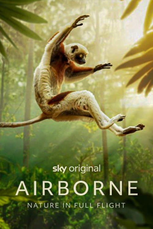 Airborne Season 1 poster